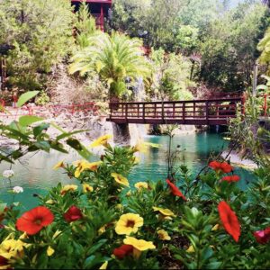 Cedar Wood Lake and Botanical Garden